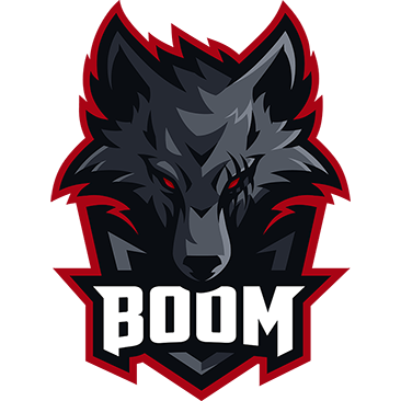 Merch BOOM Esports